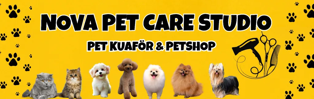 Köpeklerde Sosyalizasyon ve Pet Kuaförü Deneyimi